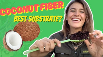 Coconut Fiber. Is it a GOOD Reptile Substrate and How To Use It Correctly