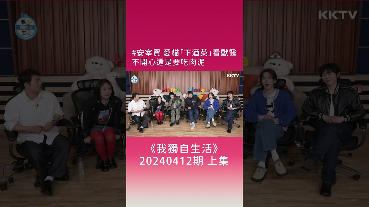 《我獨自生活》#安宰賢 愛貓「下酒菜」被帶去看獸醫👨⚕️不開心還是要吃肉泥 - EP552 精彩片段|KKTV 線上看