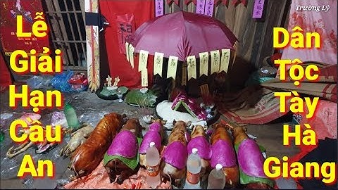 Lễ Mừng Thọ Người Tày | Không Thể Thiếu Món Này - Lợn Cắp Mách Quay Hấp Dẫn - Trường Lý