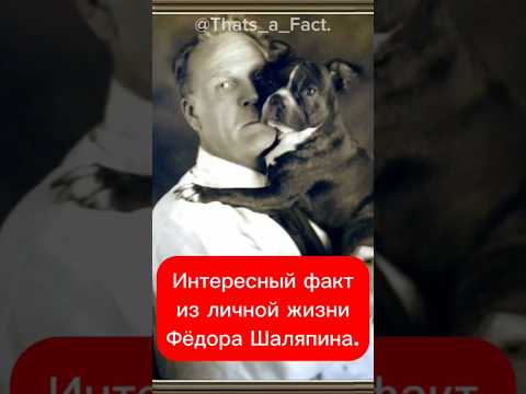 Интересный факт из