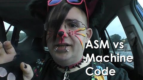 A Cat Explains CPUs, Machine Code, and Assembly Language