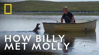 Career Overview The Otter That Became Part of a Family | Billy & Molly: An Otter Love Story | National Geographic UK