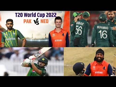 PAK VS NED ICC CRICKET WORLD CUP 2023