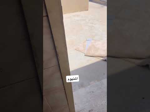 باب السطح مقفول اكسبلور محركات ترند كامري   ذهب المبيدات تيك توك