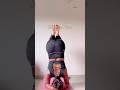Sirsasana Flow #yogaurmi #urmiyogaacademy #motivation #yoga #shorts #short #shortvideo #shortsfeed