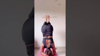 Sirsasana Flow #yogaurmi #urmiyogaacademy #motivation #yoga #shorts #short #shortvideo #shortsfeed