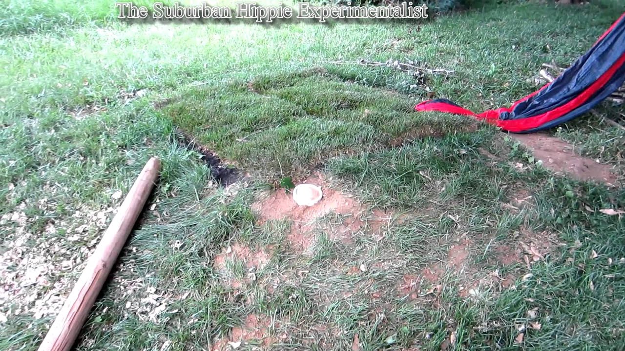 ENO hammock with only one tree YouTube