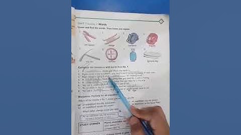 Class 5 -  Oxford English  | Lecture 1 Spring Holidays