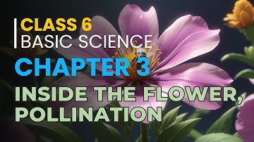 "Class 6 Basic Science | Chapter 3: Flower to Flower | Part 2: Inside the Flower & Pollination