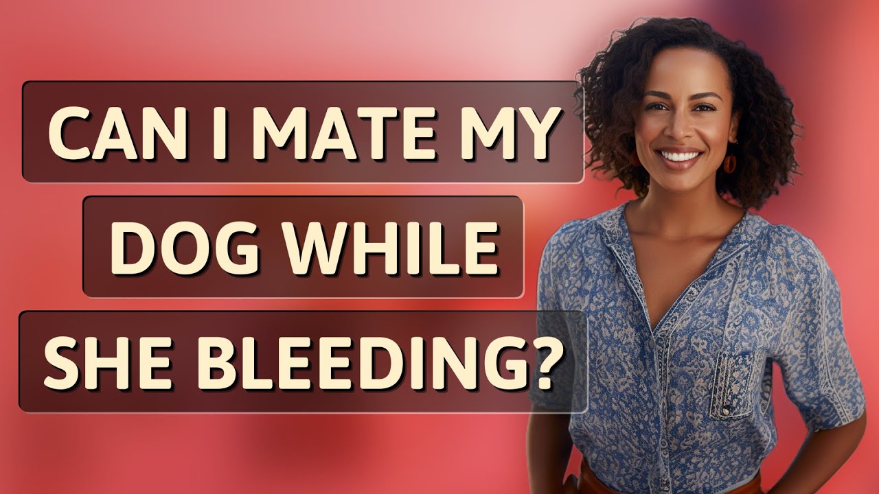Can I mate my dog while she bleeding? YouTube