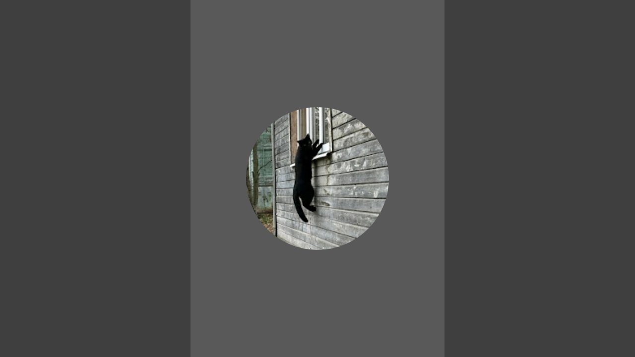 Наталья в прямом эфире!общение