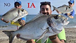 PESQUERON de DORADAS a SURFCASTING, SURFCASTING GRANADA, PESCA, VARIEDAD DE CAPTURAS 