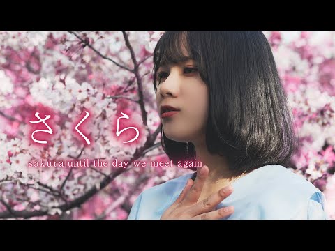 スマートオブジェクト. /『さくら』(Official Music Video)