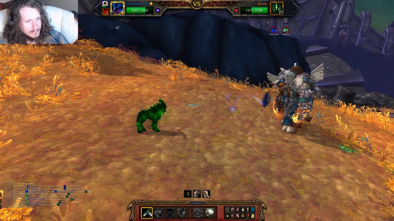 WoW Bucky Pet Battle - Magical Mayhem Achievement Guide