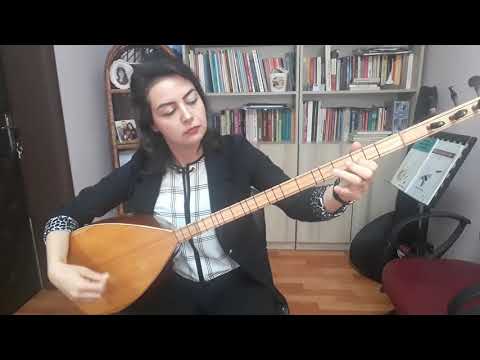 Sevilay GÖK - Azeri Oyun Havası