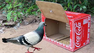 Easy Simple Pigeon Trap Using CocaCola Box With Woods  Best Method Bird Trap