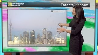 Rachel Schoutsen Toronto's Weather