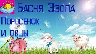 Басня, Поросенок и овцы, Эзоп