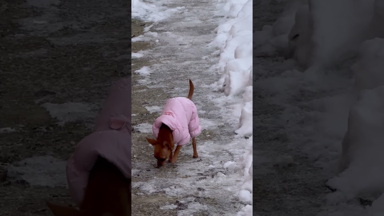 МОРОЗ И СНЕГОПАДЛА)