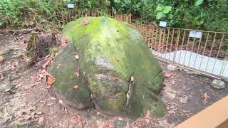 Download Lagu Santubong Archeological Park - Sungai Jaong MP3