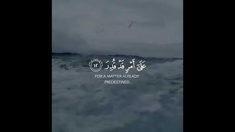 دع أصابعك تشهد لك وأكتب ماتؤجر عليه    • القارئ اسلام صبحي