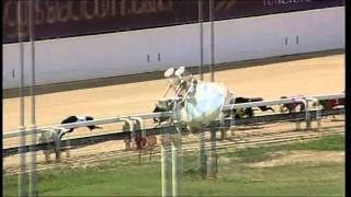 Angle-Park-04032015-Race-4