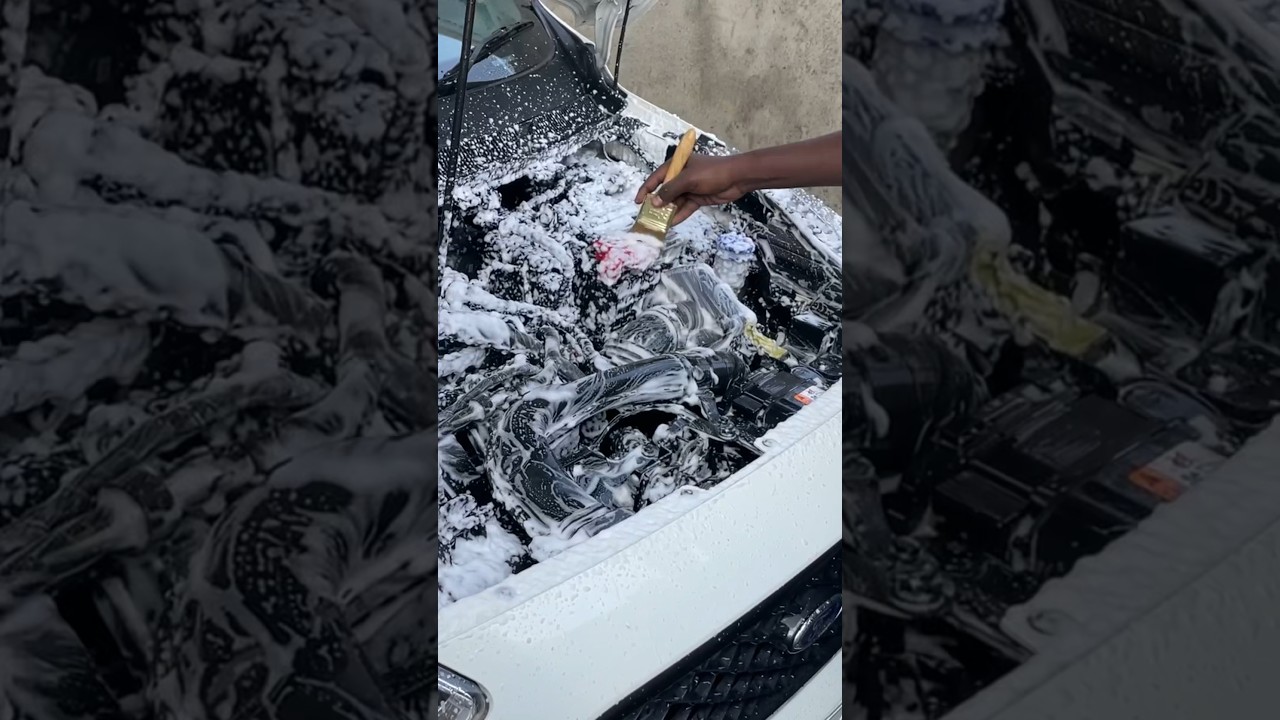 Car Engine Bay Decreasing &Detailing -Elite Auto Care ,Karur call ++919944168094  