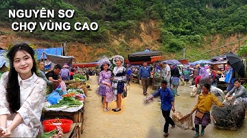 🇻🇳CHỢ CÁN CẤU LẠ LÙNG NHẤT TÂY BẮC | Lợn Cắp Nách, Chó H’Mông Cộc, Chim Rừng & Dược Liệu Quý Hiếm