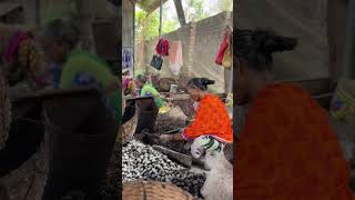 🥜 Traditional Cashew Cutting Process at Faris Cashews | Since 1960