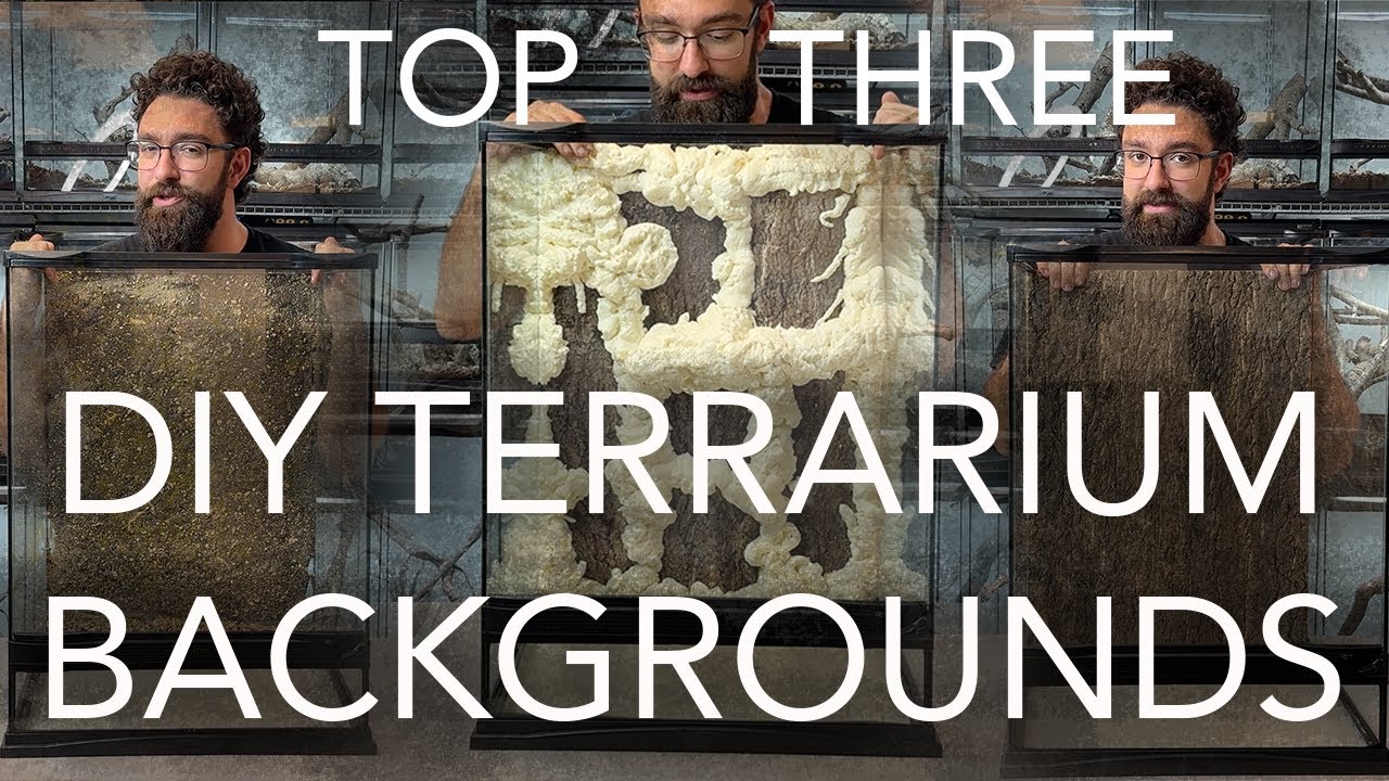 Top 3 DIY Reptile Terrarium Backgrounds