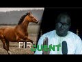 Firi guent  saison 02  pisode 5  rever dun cheval