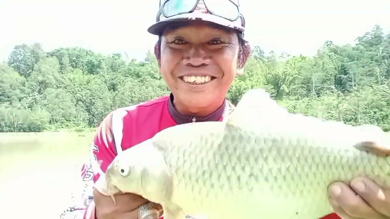 strikee monster bertubi-tubi di spot ikan target Thilapya!!!! @yanpetongtoraja fishing club..