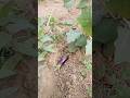 3 January 2026