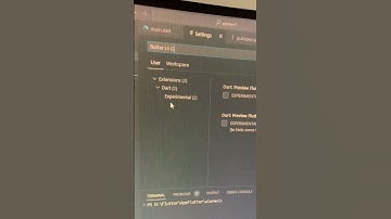 Enable Guide Lines in Visual Studio Code with Flutter? #flutter #dev #programming