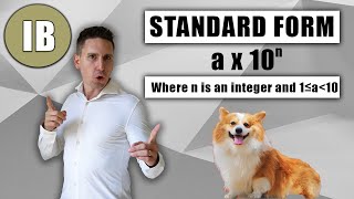 Standard Form | IB AI HL/SL | Number One Tutor Update