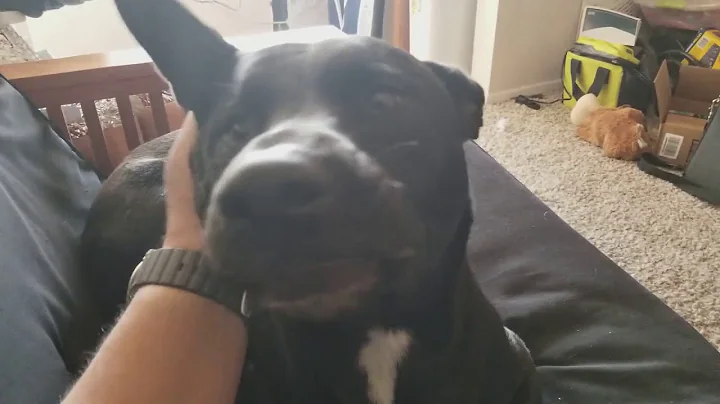 Jaxie girl being the sweetheart she is.