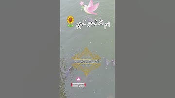 القرآن الكريم #فايسبوك #تيك_توك #تليگرام #حالات #لايك #دويتو #تصويري #ترند #انستغرام #اكسبلور