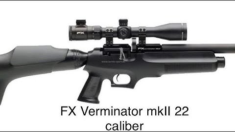 Fx Verminator MkII 22 review (A stranger gun?) #fxverminatormkII22