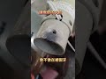 20260620小撇步不讓你的電扇不夭折 迷你馬達都很好 就是很靠腰....