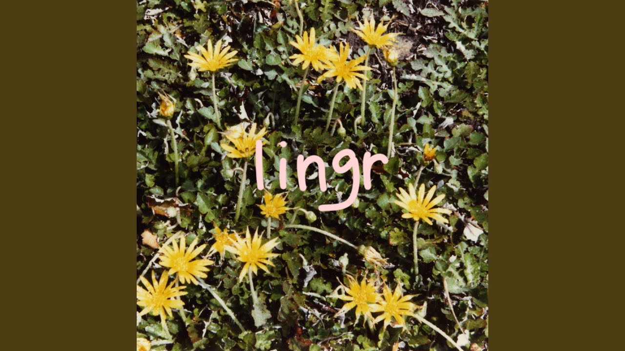 Watch Lingr on YouTube Watch Lingr on YouTube