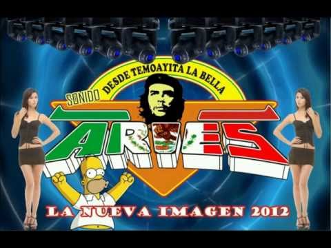 gaita numero 1 limpia
