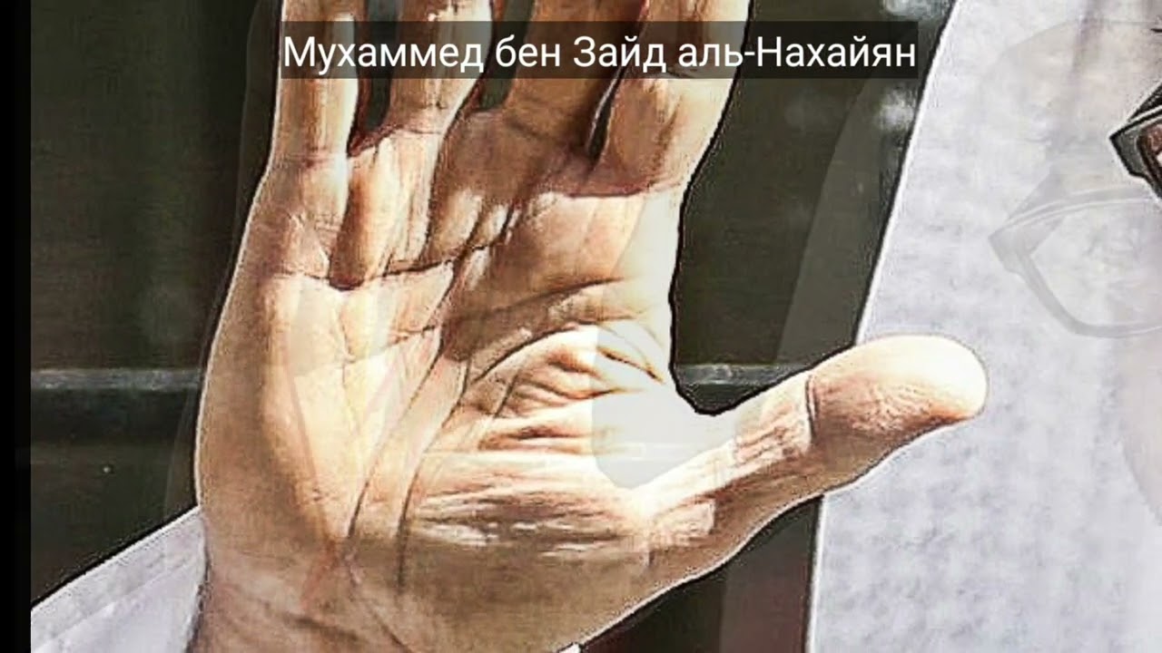 Ладонь миллиардера.Хирология# 