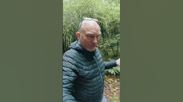 Trying to solve the GoPro wind noise problem. #goprohero11 #windnoise #zoomh1n