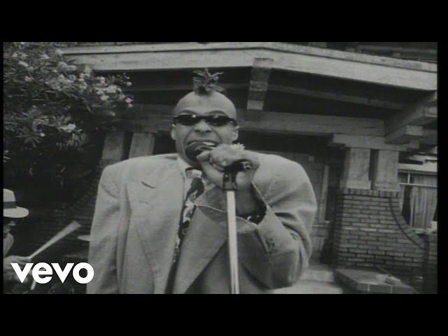 It's A Wonderful Life (Gonna Have A Good Time)NEW!Fishbone