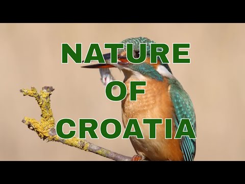 Priroda Hrvatske Wild Croatia - kontinentalna Hrvatska/The continent Croatia