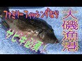 釣り動画ロマンを求めて　51釣目（大磯港）