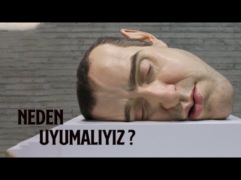 Video: Insanlar Neden Geceleri Uyur