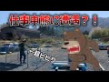 草むらから熊出現？？作業中の従業員に突撃！そして石を砕いたら石の中から◯◯が出てきた！