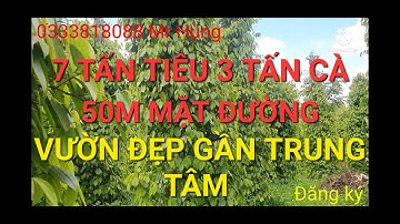 Bán Đất Đăk Nông 171| VƯỜN CHO THU NHẬP CAO ĐỊA THẾ BẰNG PHẲNG GẦN TRUNG TÂM THỊ TRẤN