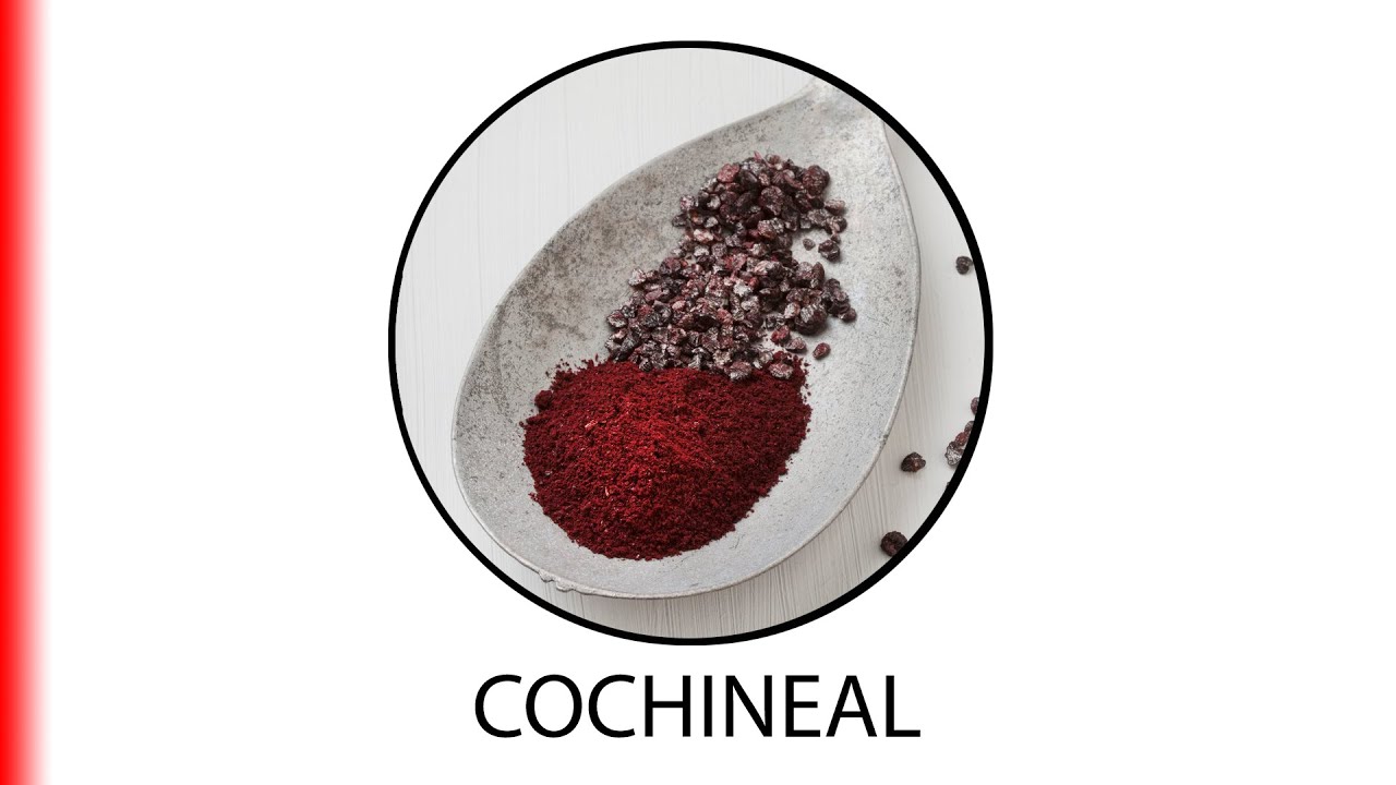 COCHINEAL.